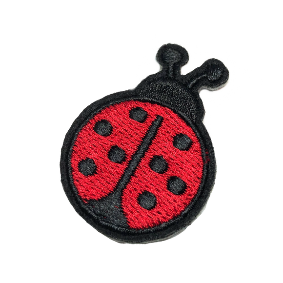 Ladybug