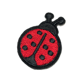 Ladybug