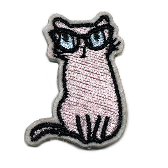 Cat with glasses